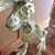 Steve Taylor's profile image