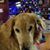 Tracy Baldwin Young's profile image