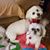 Nancie Fogelman's profile image