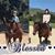 Melody Curtis's profile image
