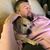 Don M. Schiewer's profile image
