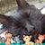 Patricia Trader's profile image