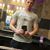 Cory Allen Ketcherside's profile image