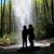Kristi Fortenberry's profile image
