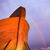 Sharon Curtice McGinnis's profile image