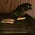 Patrick Rosselli's profile image