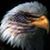 Thomas L. Haupt's profile image