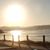 Edith Salgado Stover's profile image