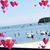Louann Woltersdorf's profile image