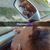 Shinnell Milan's profile image