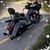 Kelly Smith's profile image