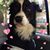 Zuzana Blackwood's profile image