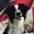 Marsha Dusek's profile image