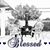 Kathleen Stettler Hollon's profile image