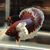 Bizzo Yang's profile image