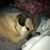Cheryl Hunter Gruber's profile image