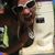Kristin McMaster's profile image