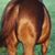 Michael Hollingsworth's profile image