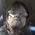 Jerry Mcdown's profile image