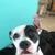 Nancy Frances's profile image
