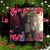 Carole McCoy Knoll's profile image