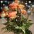 Christine Roberts's profile image