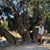 Tracy Richardson LAc's profile image