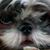 Donnise Clemmons's profile image