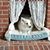 Frannie Allen Clifford's profile image