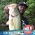 Ron Chapman's profile image