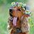 Sherry Guyberson's profile image