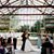 Erica Seagle's profile image