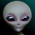 Jerri Gingrich's profile image