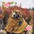 Teresa Robinson's profile image