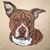 Janet Riley's profile image