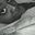 Jamaica Gilliam's profile image