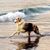 Candy Lidstrom's profile image