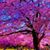 Patti Kopnitsky's profile image