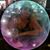 Rose Cerrone-Miller's profile image