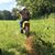 Andrew Roetting's profile image
