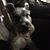 Romy Gomberg's profile image