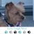 Lori Kopack's profile image