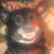 Jeffrey Conklin's profile image