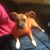 Sarah Grant Craig's profile image