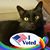 Darci Huddleston's profile image