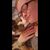 Jenna Karls's profile image
