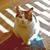 Ellen Clinard's profile image