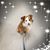 Betty Honey's profile image