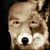 Johnny Miller's profile image
