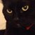 Michael Mogerman's profile image